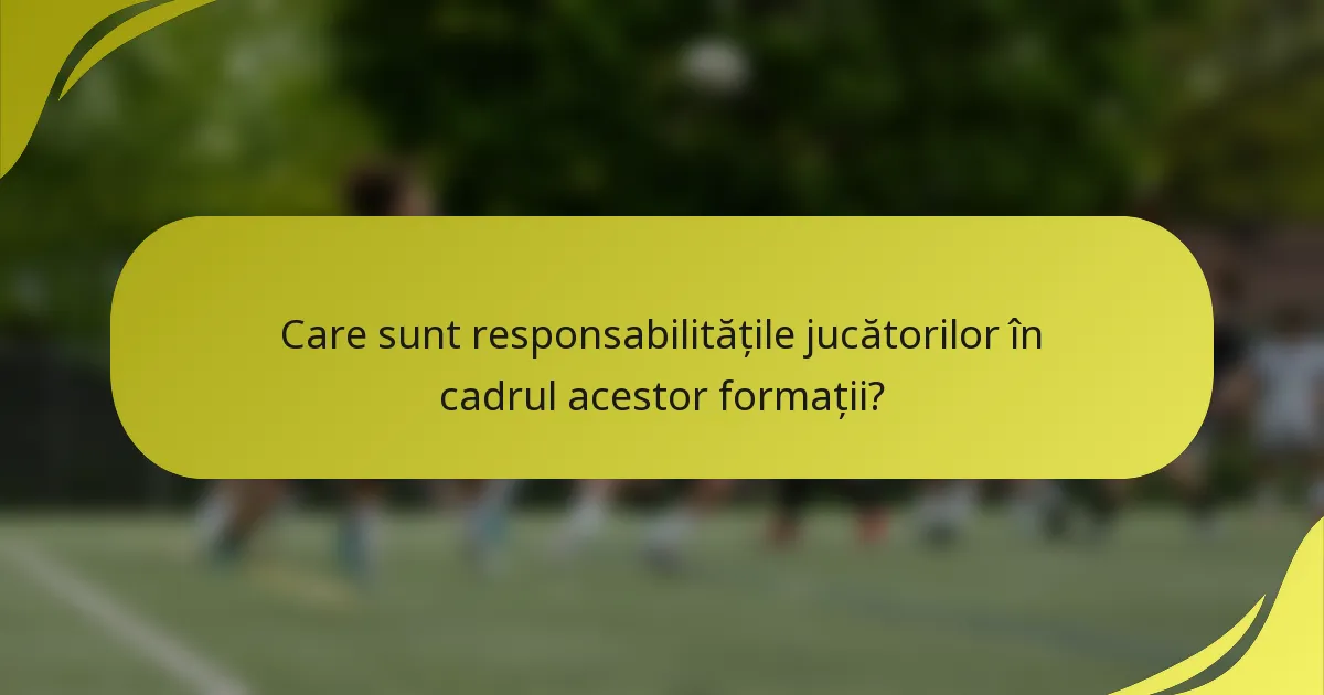 Care sunt responsabilitățile jucătorilor în cadrul acestor formații?